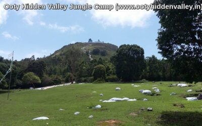 A village in the hills – Ooty Hidden Valley Jungle Camp Stay