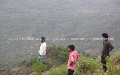 Ooty Adventure Camps below 15 KMs from Ooty Bus Stand