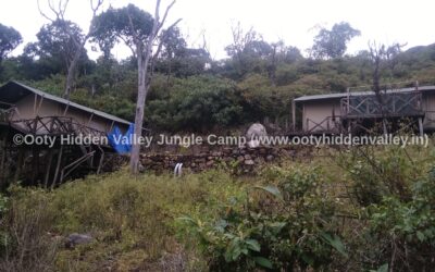 Best Tent Stay in Ooty Hidden Valley Jungle Camp at Hidden Village
